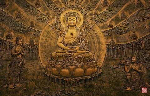 放生所获得的福报