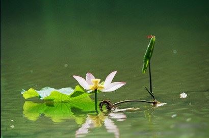 受持五戒都有哪些含义？