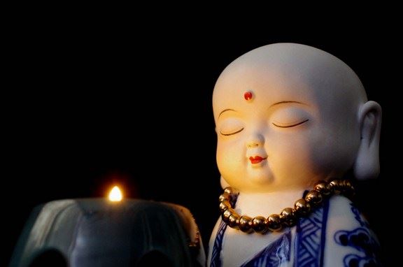 佛弟子究竟能不能养宠物是吗？