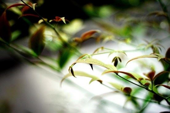 孕妇经常念地藏经都有哪些好处？