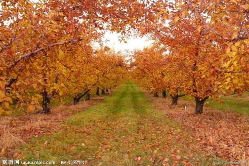 忏悔必须要有的几种心态?
