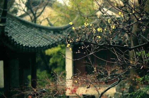 常敏法师微开示：末法时期，众生根机不好，是不是就很难遇到善知识？