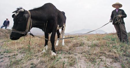 日常生活中我们应该如何参禅