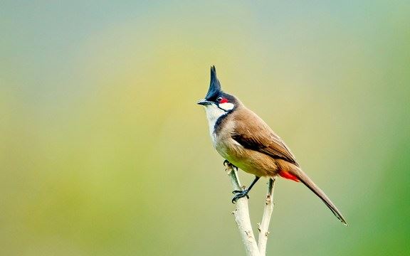 八旬拾荒老人的故事