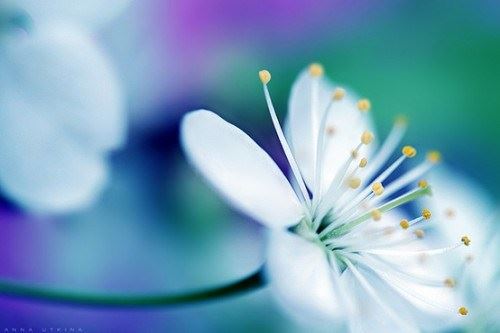 念佛多了，感觉心累，请问如何突破？