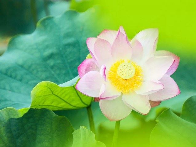 你以为在佛堂做一个小时的功课才是修行吗？你错了