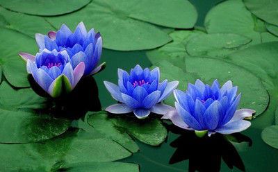 你是不是也赞同痛苦占多数，快乐是短暂的这个观点