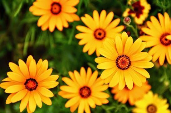 中国佛教僧人有哪些称谓？