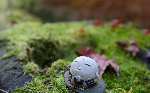 假期旅游想去寺院注意些什么？