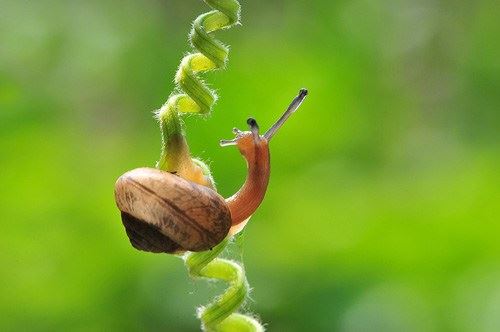 警惕！吃饭挑食也会损减福报