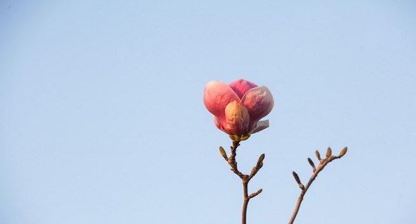 不孝夫妻遭到天打雷劈的现世报