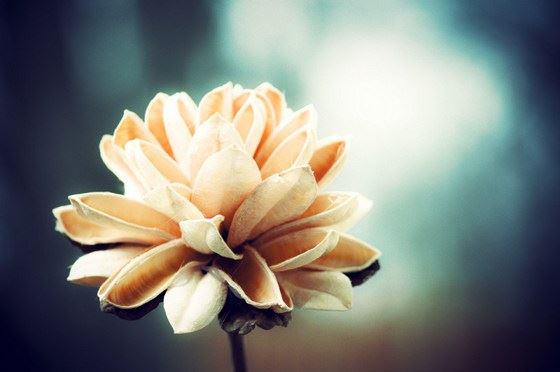 如何获得大福报？