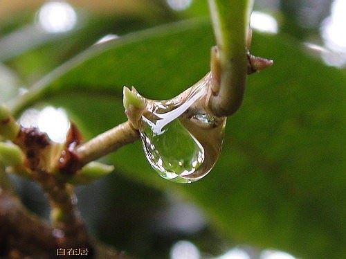 家庭里面关系的次序，是以婚姻优先还是孝敬长辈优先