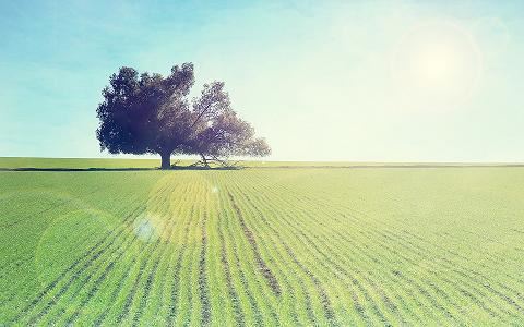 念佛能得到释迦牟尼佛、阿弥陀佛与十方诸佛护念加持