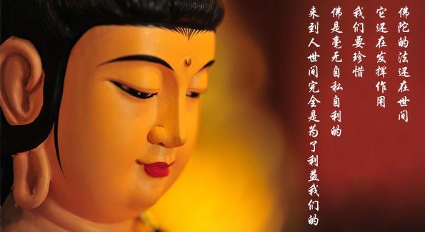 素食的十大益处