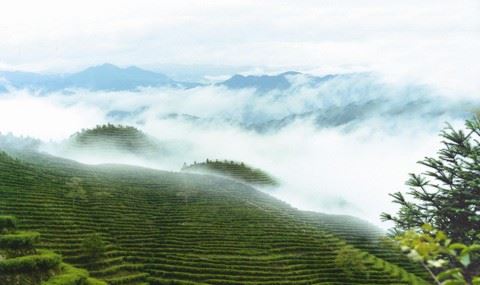 身体能量和膂力与护持正念的才能是休戚相关的吗？