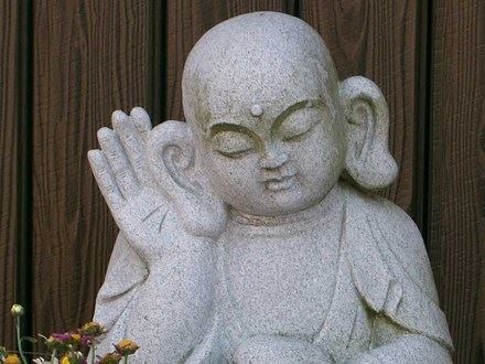 戒杀的原动力——谁肯将刀割自身