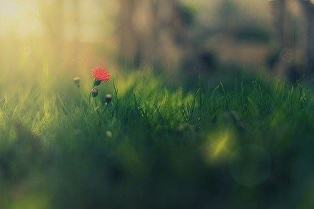 常敏法师答：现在因为安心了，所以有时也会散散心看看电视什么的，，