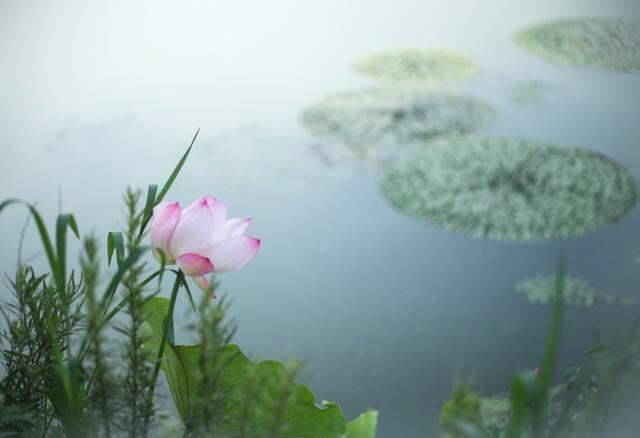 受一分委曲，消一分业障