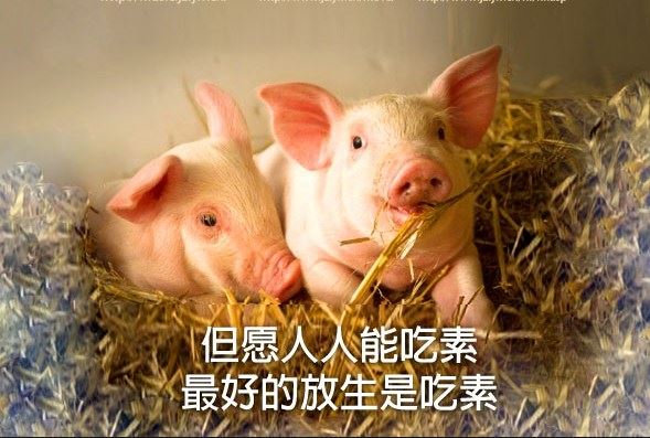 人生四部曲：改变、适应、包容、放弃