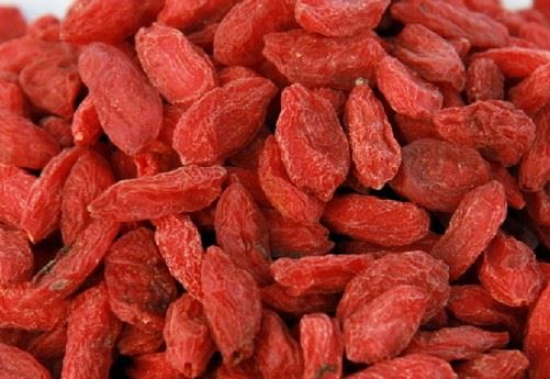 西方极乐世界，是个什么样子？