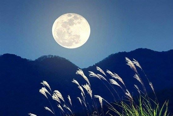 发心就是让我们以阿弥陀佛为代表，一切向阿弥陀佛学习