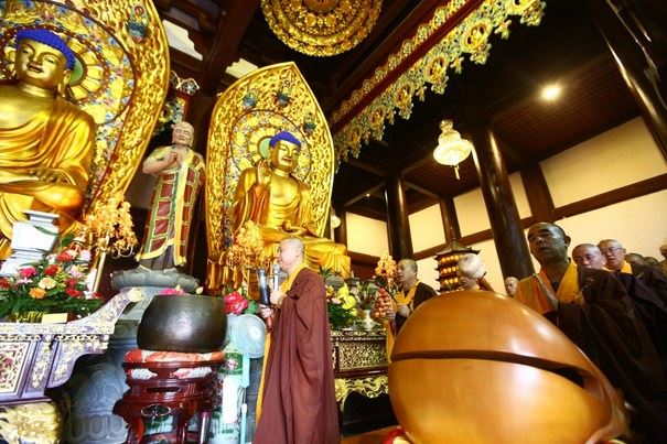 驱赶小虫的办法，避免杀戮