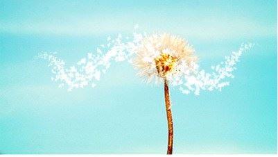 改造不是改变，而是一种放下