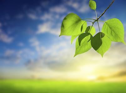 境随心转，愈布施，才会愈富有