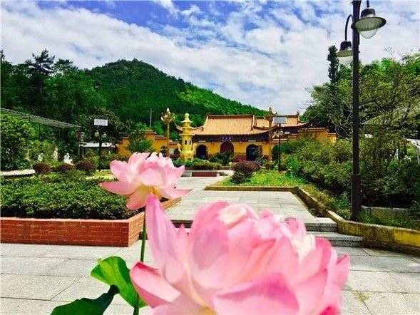 无诤，是修行者的美德