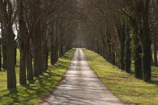 人生，不求完美，但求实在