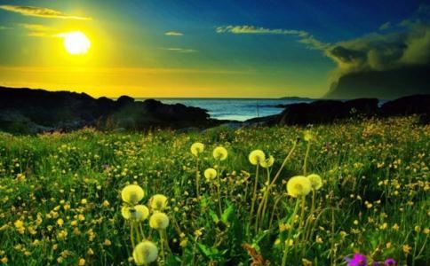 一位乳腺癌妈妈学佛经历