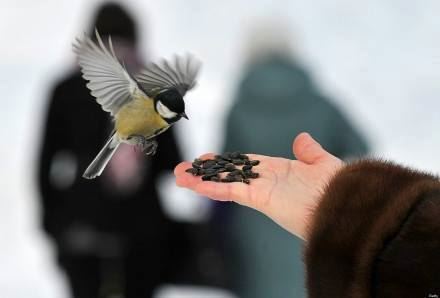 感恩是人与人之间的保鲜剂