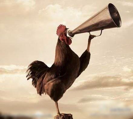 生活不简单，尽量简单过