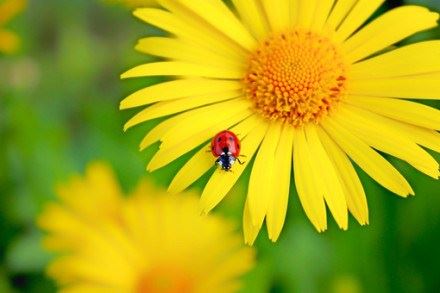 道证法师：科学家为您解释“西方极乐世界”仅仅是个传说吗？