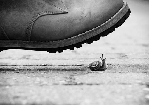 妙祥法师：从起床看你的修行急缓