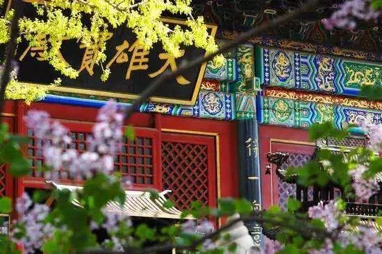 回光返照：佛陀说，你看过哪一个黑暗去破坏光明