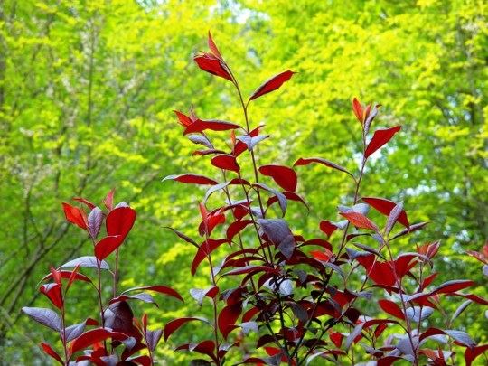 人的磁场，其实是灵魂所散发的力量