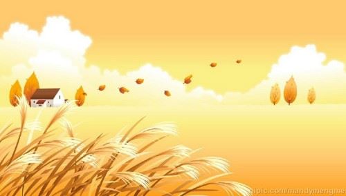 舍弃愤怒，拔出傲慢