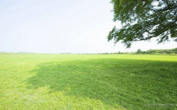 乞丐夜宿地藏殿奇遇记