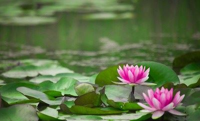 消业最快的方法，实属难得