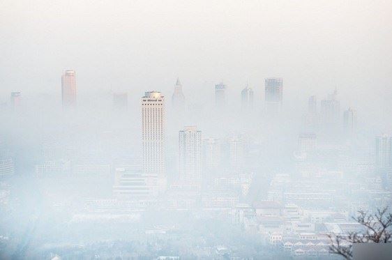 佛寺大门里的两位护庙门神分别是谁?
