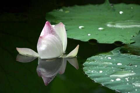 佛教的基础理论都有哪些呢？