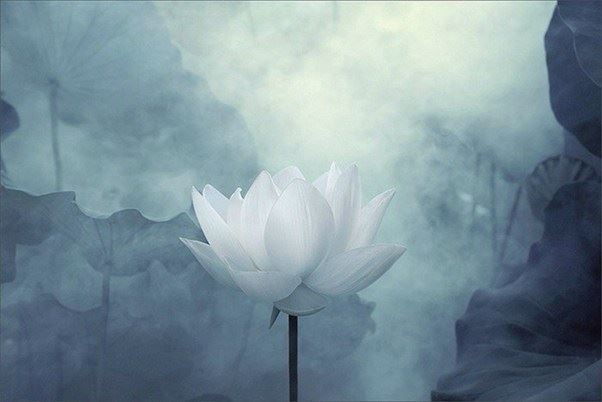 探秘！从爱因斯坦“相对论”说佛教究竟是宗教还是科学？