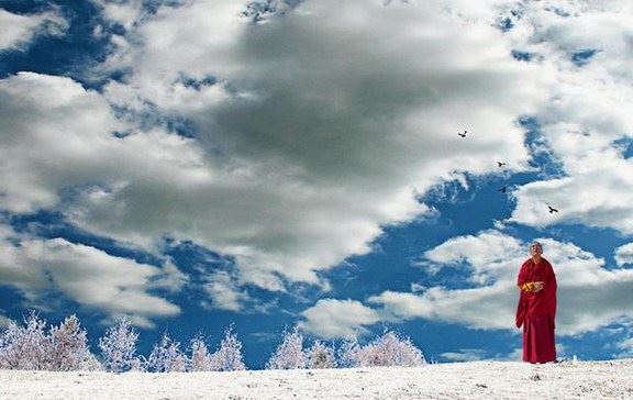 修行者在寺院做义工的种种功德