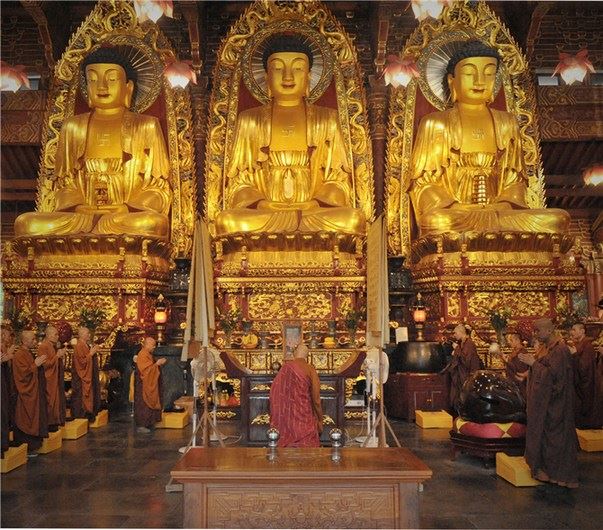 女童尸体脑电波复活