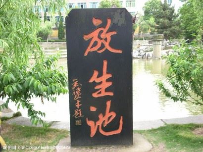 净土法门法语：这样用心，妄想杂念不容易起来