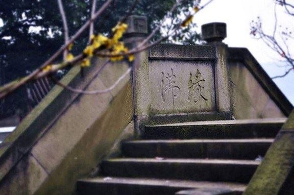 净慧长老修行证道，弘法济世的一生