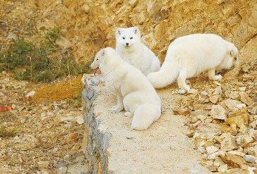 佛教的因果循环和善恶果报