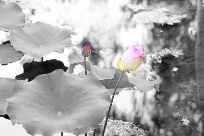 破坏佛教真的因果报应吗？